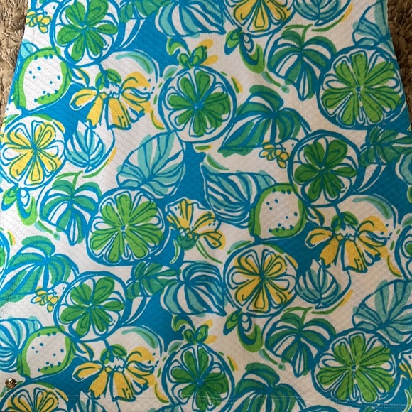 Lilly Pulitzer NWT adorable dress L - Picture 3 of 6
